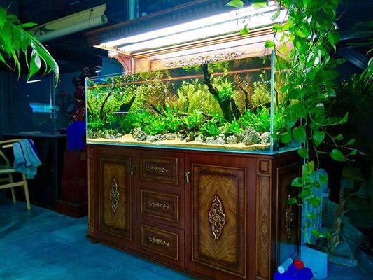水族館開店：開一家小型水族館的費用大約在10萬元到20萬元 水族館開店：開一家小型水族館的費用大約在10萬元到20萬元 水族館百科（水族館加盟） 第4張
