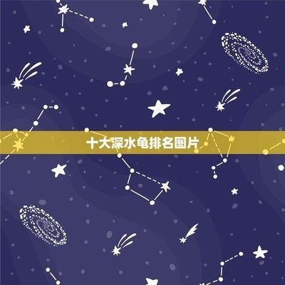 豬鼻龜兇不兇怎么判斷圖片：豬鼻龜與王八的區(qū)別