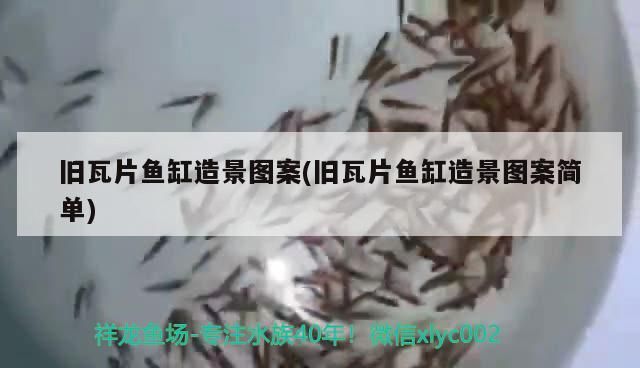 舊瓦片魚缸造景圖案(舊瓦片魚缸造景圖案簡單)
