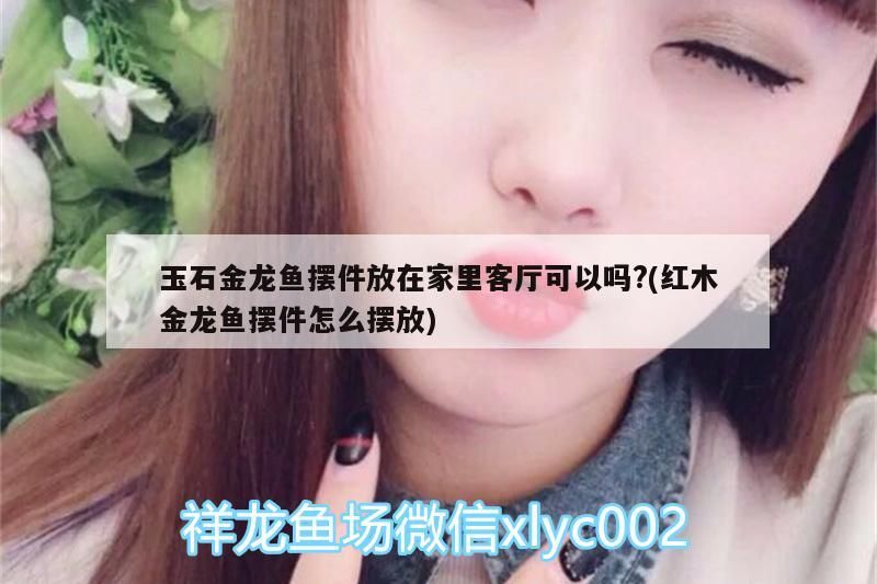 玉石金龍魚擺件放在家里客廳可以嗎?(紅木金龍魚擺件怎么擺放) 玉石金龍魚擺件放在家里客廳可以嗎?(紅木金龍魚擺件怎么擺放) 金龍魚百科 第2張