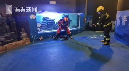 水族館服務員累嗎（水族館服務員的職業晉升路徑）