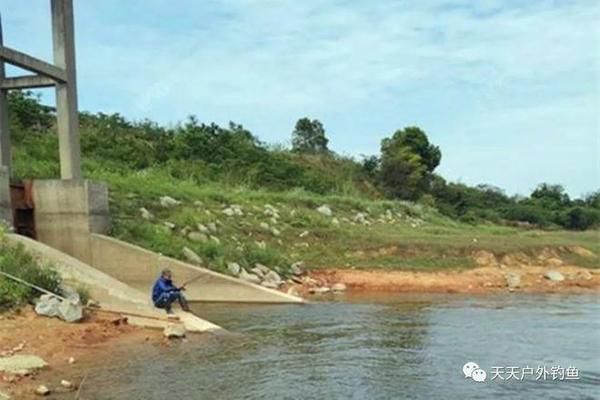 龍魚財神最忌諱的三個東西，養魚禁忌與風水講究，龍魚財神三大禁忌，養魚風水必知的避諱要點