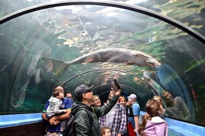 水族館用英語怎么讀？（\"在英語中讀作\"）