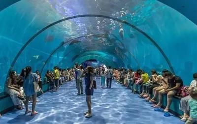 水族館隧道如何增強游客互動（水族館互動游戲設計案例）