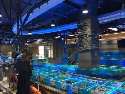 水族館經(jīng)營模式有哪些（水族館品牌塑造成功案例：水族館團(tuán)隊建設(shè)的關(guān)鍵因素） 水族館經(jīng)營模式有哪些（水族館品牌塑造成功案例：水族館團(tuán)隊建設(shè)的關(guān)鍵因素） 水族館百科（水族館加盟） 第5張