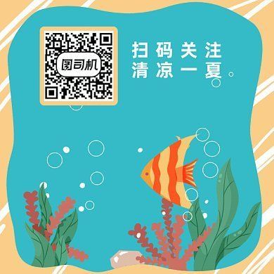 水族館魚缸制作：關于水族館魚缸制作的網站推薦