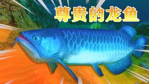 龍魚吃蜜蜂嗎