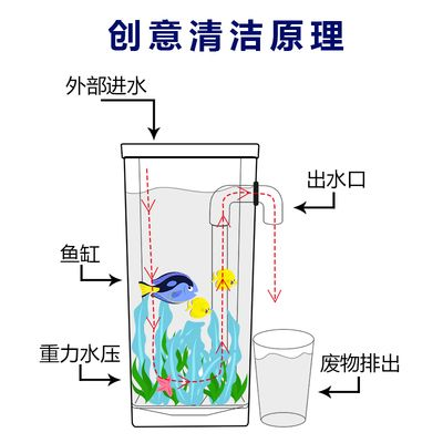 如何判斷魚缸該換水了，如何判斷魚缸是否需要換水