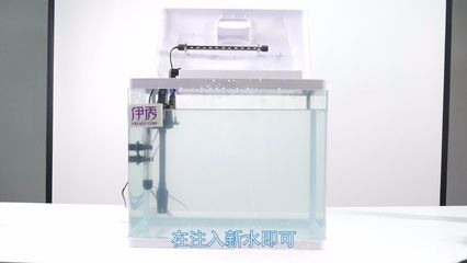 如何判斷魚缸該換水了，如何判斷魚缸是否需要換水