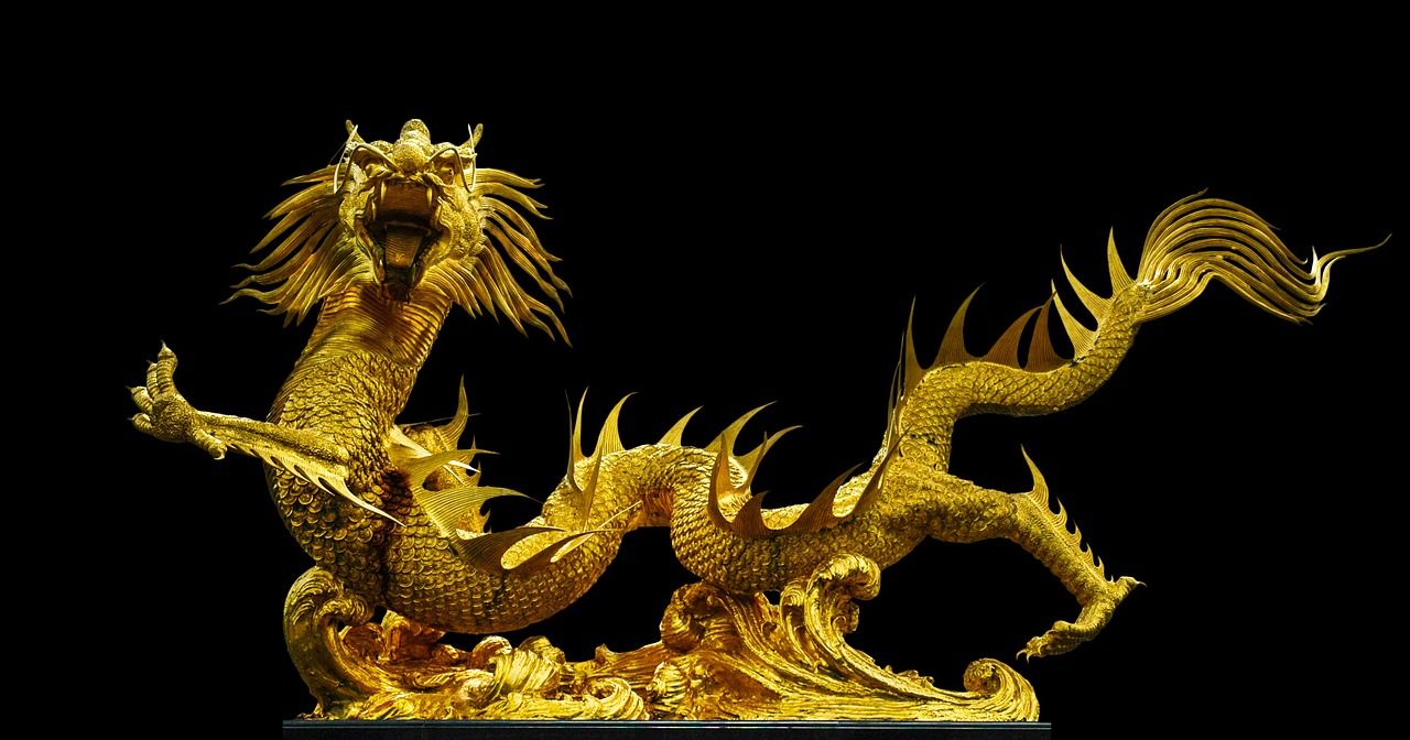 這魚打了激素嗎？ 這魚打了激素嗎？ 魚缸百科 第3張