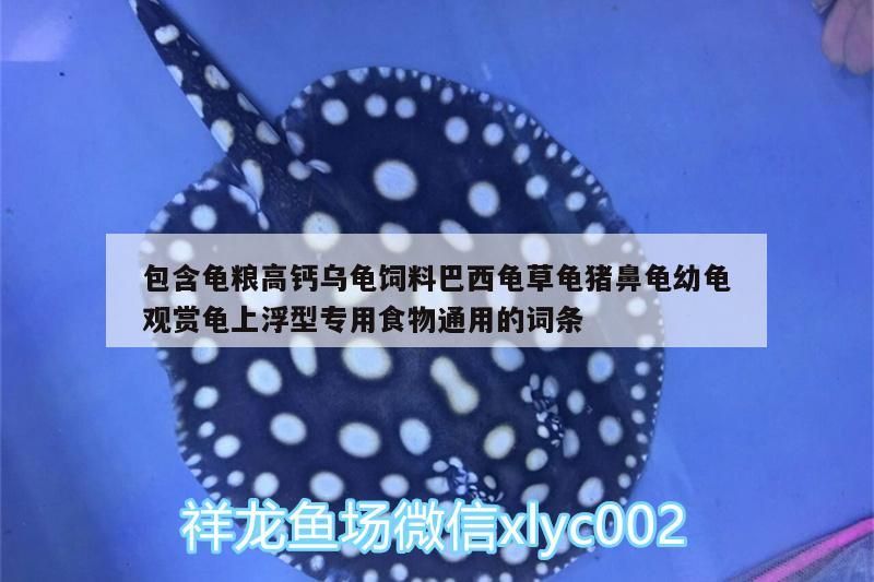 包含龜糧高鈣烏龜飼料巴西龜草龜豬鼻龜幼龜觀賞龜上浮型專用食物通用的詞條