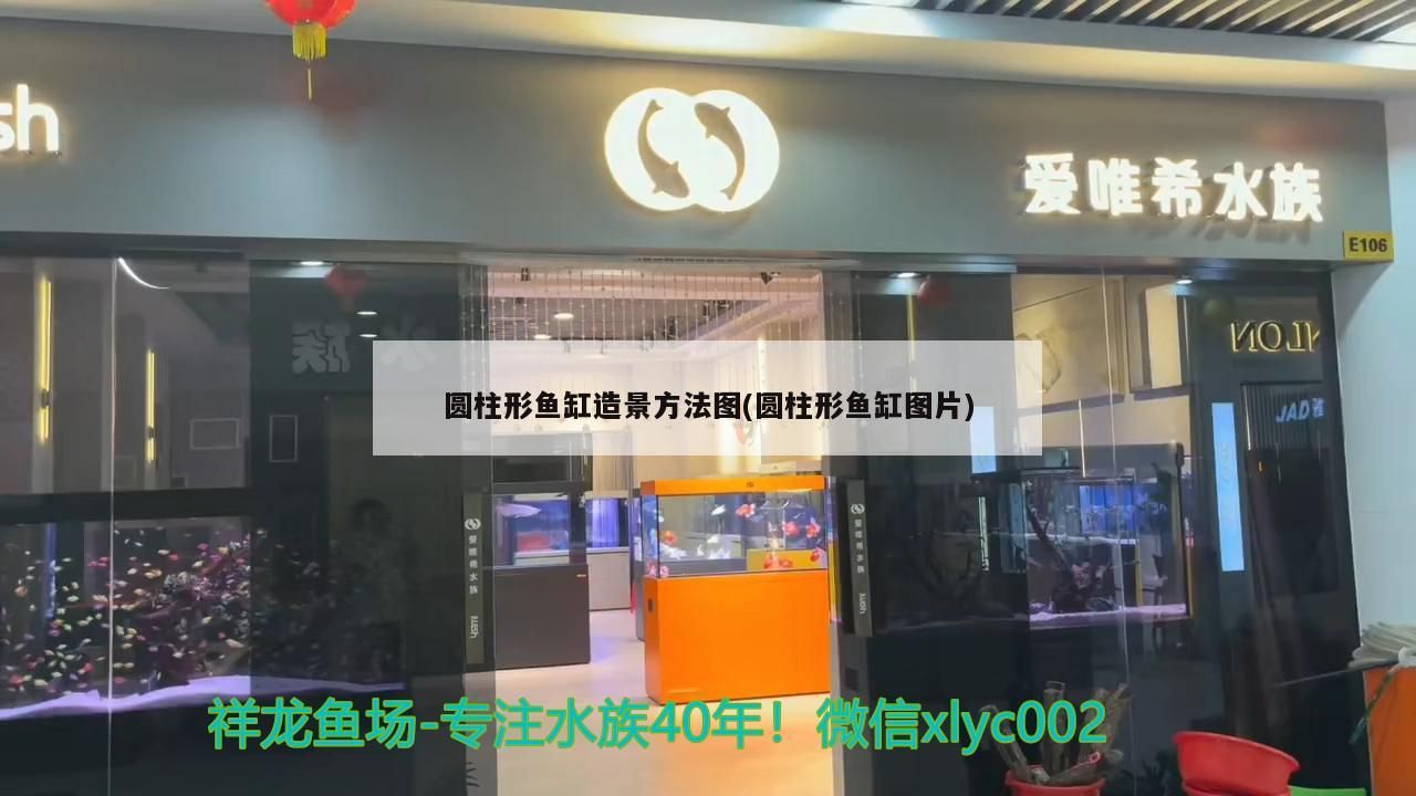 圓柱形魚缸造景方法圖(圓柱形魚缸圖片) 圓柱形魚缸造景方法圖(圓柱形魚缸圖片) 元寶鳳凰魚百科 第3張