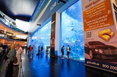 水族館里面有什么生物（《和平精英》水族館中常見的海洋哺乳動物包括海豚、虎鯨、偽虎鯨）