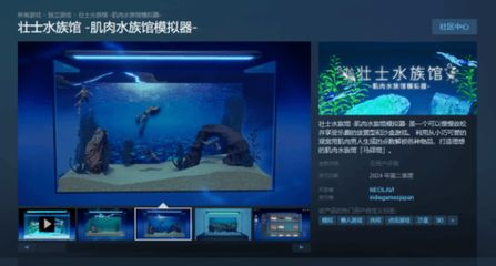 海洋水族館游戲(我的水族館奇幻元素介紹海洋水族館3dvr體驗) 水族館百科(水族館加盟) 第6張 海洋水族館游戲(我的水族館奇幻元素介紹海洋水族館3dvr體驗) 海洋水族館游戲(我的水族館奇幻元素介紹海洋水族館3dvr體驗) 水族館百科(水族館加盟) 第6張
