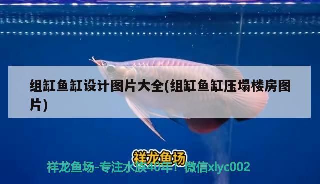 組缸魚缸設(shè)計(jì)圖片大全(組缸魚缸壓塌樓房圖片) 組缸魚缸設(shè)計(jì)圖片大全(組缸魚缸壓塌樓房圖片) 錦鯉魚百科 第2張