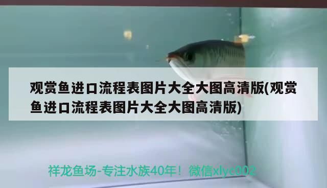 永州龍魚vs永州水族批發市場vs永州水族館vs永州魚缸批發市場vs祥龍魚場：關于永州地區龍魚交易市場的一些建議