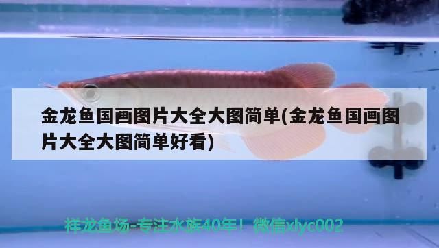 金龍魚國畫圖片大全大圖簡單(金龍魚國畫圖片大全大圖簡單好看) 金龍魚國畫圖片大全大圖簡單(金龍魚國畫圖片大全大圖簡單好看) 黃金貓魚百科 第3張