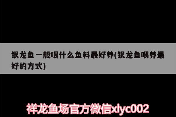 銀龍魚一般喂什么魚料最好養(銀龍魚喂養最好的方式)