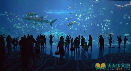 水族館的英文（世界著名水族館介紹水族館的英文是\"）