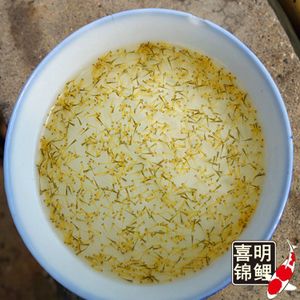 龍魚側(cè)燈一天開多久？科學(xué)照明指南助你養(yǎng)出完美龍魚，龍魚側(cè)燈每日最佳開啟時(shí)長(zhǎng)，科學(xué)照明指南