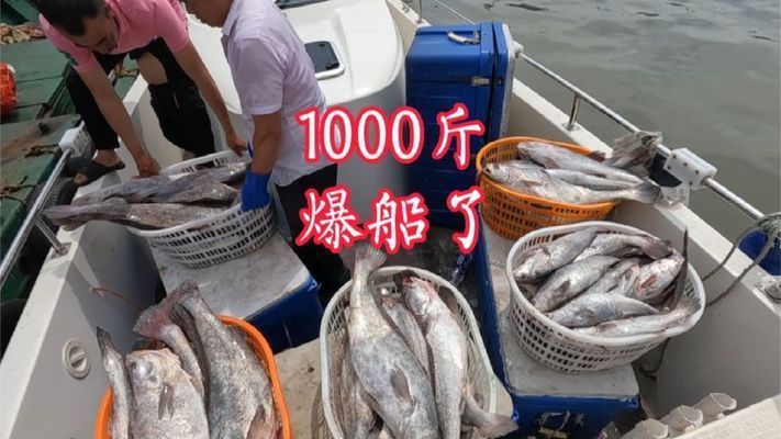 魟魚拉的多嗎：關于魟魚的排便情況，我們可以得出以下結論：[需手動填充]魚的排便情況