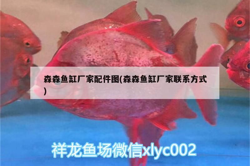 森森魚缸廠家配件圖(森森魚缸廠家聯系方式)