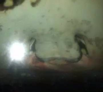 魟魚肚子發紅：魟魚肚子發紅可能是由于多種原因引起的，其中最常見的原因是腸炎