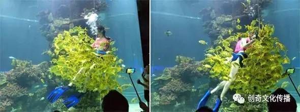 隨州龍魚vs隨州水族批發(fā)市場(chǎng)vs隨州水族館vs隨州魚缸批發(fā)市場(chǎng)vs祥龍魚場(chǎng)：隨州水族批發(fā)市場(chǎng) 隨州龍魚vs隨州水族批發(fā)市場(chǎng)vs隨州水族館vs隨州魚缸批發(fā)市場(chǎng)vs祥龍魚場(chǎng)：隨州水族批發(fā)市場(chǎng) 祥龍魚場(chǎng)各市分站 第5張
