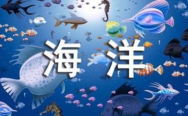 開個水族館的艱難經歷作文600字（新手開水族館的準備事項）
