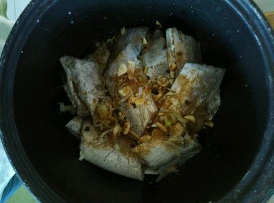 龍魚logo設計