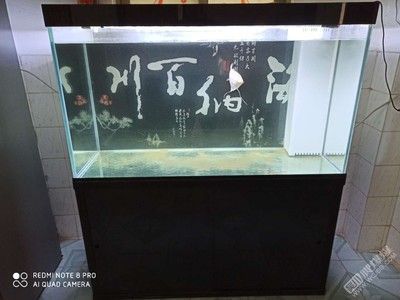辦公桌上也養海水 辦公桌上也養海水 錦鯉魚百科 第3張