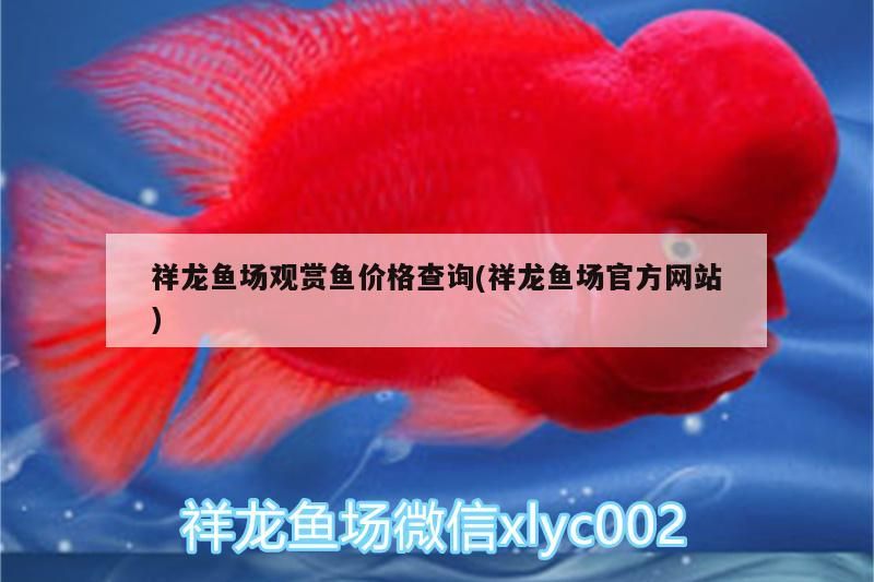 祥龍魚(yú)場(chǎng)觀賞魚(yú)價(jià)格查詢(祥龍魚(yú)場(chǎng)官方網(wǎng)站)