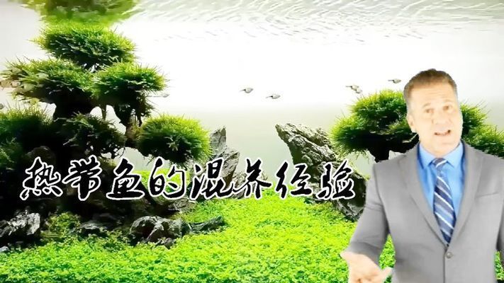 熱帶魚混養兼容性指南，混養熱帶魚時兼容性是關鍵因素之一提供了一份指南