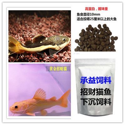 承益水產飼料用戶評價詳情，一眉道人魚飼料價格對比泰國虎魚飼料用戶反饋匯總