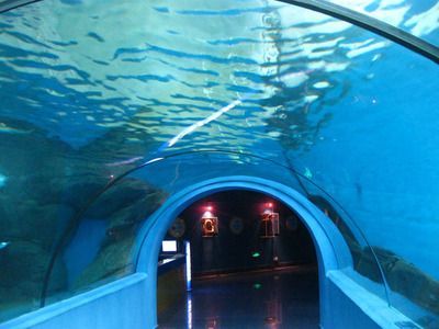 水族館專業（水族館專業介紹）