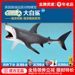 愉快的假期 愉快的假期 魚缸百科 第6張