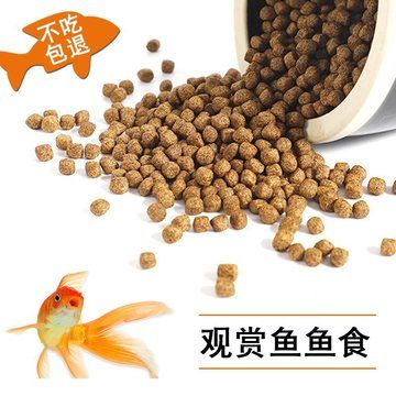 最大的紅龍魚圖片欣賞大全：探秘紅龍魚，邂逅震撼之美，領略最大紅龍魚圖片背后的傳奇