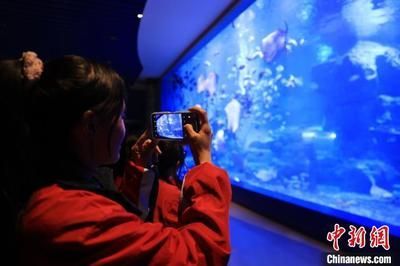 水族館利潤大嗎？：上海海洋水族館門票定價策略水族館門票定價策略 水族館利潤大嗎？：上海海洋水族館門票定價策略水族館門票定價策略 水族館百科（水族館加盟） 第4張