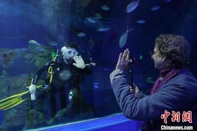 水族館利潤大嗎？：上海海洋水族館門票定價策略水族館門票定價策略 水族館利潤大嗎？：上海海洋水族館門票定價策略水族館門票定價策略 水族館百科（水族館加盟） 第5張