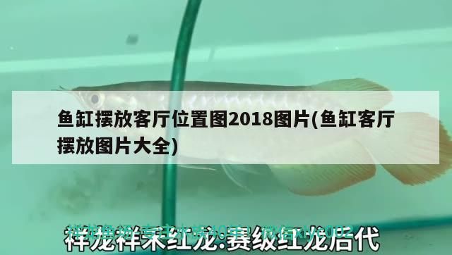 魚缸擺放客廳位置圖2018圖片(魚缸客廳擺放圖片大全)