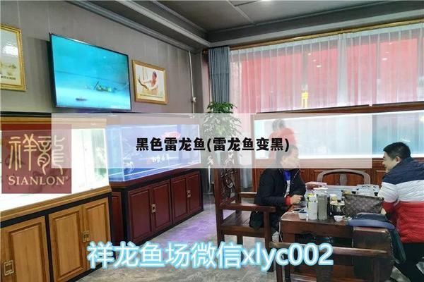 負壓魚缸的原理圖解，如何提高負壓魚缸氧氣含量負壓魚缸與普通魚缸對比