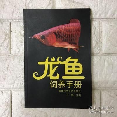 龍魚魟魚飼養手冊百度云：關于《龍魚魟魚飼養手冊》的一些有用信息