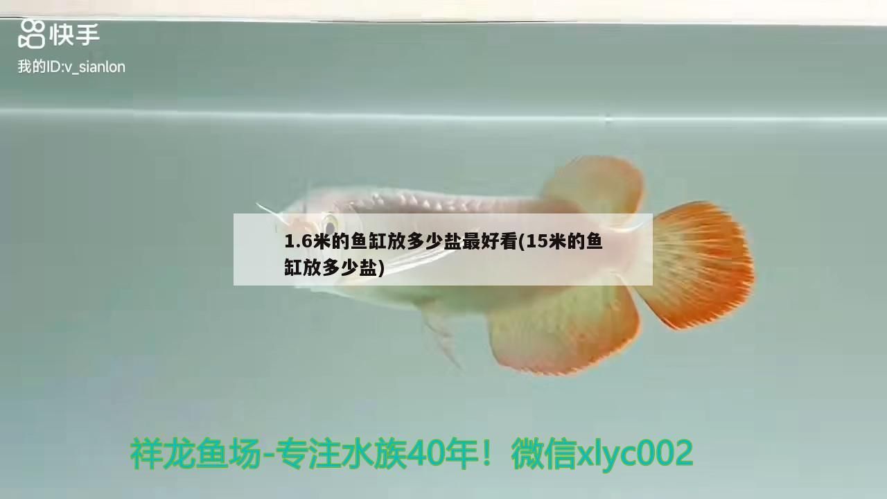 1.6米的魚缸放多少鹽最好看(15米的魚缸放多少鹽) 1.6米的魚缸放多少鹽最好看(15米的魚缸放多少鹽) 錦鯉魚百科 第3張