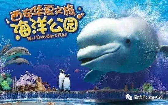 開個水族館的艱難之旅英語（開一家水族館需要克服眾多難題，） 開個水族館的艱難之旅英語（開一家水族館需要克服眾多難題，） 水族館百科（水族館加盟） 第1張