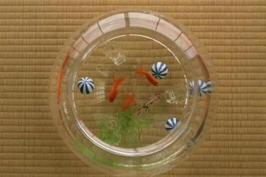 魚缸可以一直開燈嗎?（魚缸可以一直開燈嗎為什么）