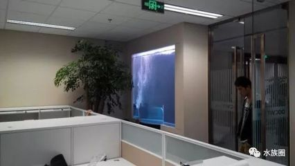 克拉瑪依龍魚vs克拉瑪依水族批發市場vs克拉瑪依水族館vs克拉瑪依魚缸批發市場vs祥龍魚場:克拉瑪依水族批發市場 祥龍魚場各市分站 第4張 克拉瑪依龍魚vs克拉瑪依水族批發市場vs克拉瑪依水族館vs克拉瑪依魚缸批發市場vs祥龍魚場:克拉瑪依水族批發市場 克拉瑪依龍魚vs克拉瑪依水族批發市場vs克拉瑪依水族館vs克拉瑪依魚缸批發市場vs祥龍魚場:克拉瑪依水族批發市場 祥龍魚場各市分站 第4張