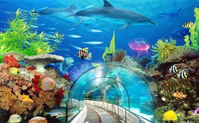 現(xiàn)在水族館生意怎么樣?。ㄉ虾：Ｑ笏屦^）