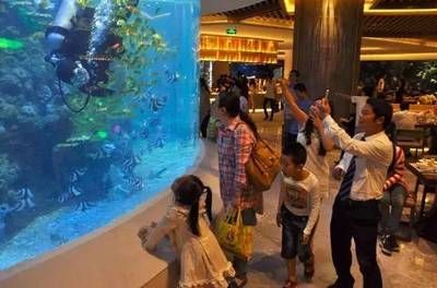 現(xiàn)在水族館生意怎么樣啊（上海海洋水族館）