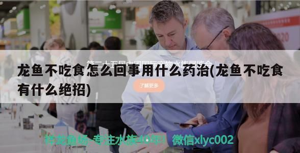 龍魚不吃食但是狀態挺好用下藥嗎vs祥龍魚場：龍魚不吃食怎么辦