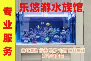 合肥龍魚vs合肥水族批發市場vs合肥水族館vs合肥魚缸批發市場vs祥龍魚場：合肥水族市場以及祥龍魚場 合肥龍魚vs合肥水族批發市場vs合肥水族館vs合肥魚缸批發市場vs祥龍魚場：合肥水族市場以及祥龍魚場 祥龍魚場各市分站 第5張